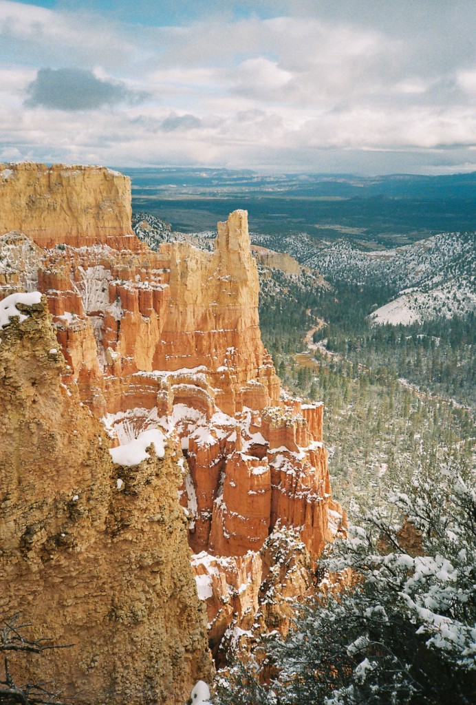 Bryce Canyon National Park snow, Utah, Kelsey's Cup of Tea